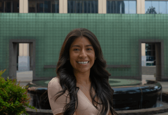Blog Author Fernanda, a woman with long brown hair and a big smile wearing a light pink dress.