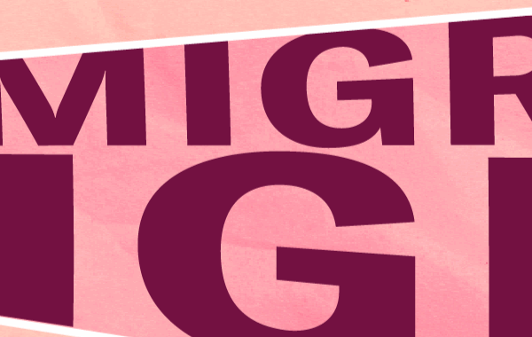 Immigrants Rights Banner