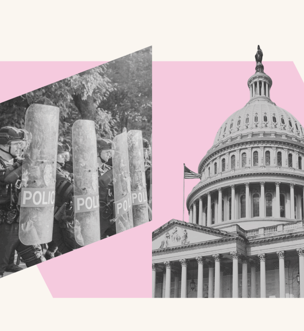 Arkansas National Guard and Arkansas State Capitol on Pink Background