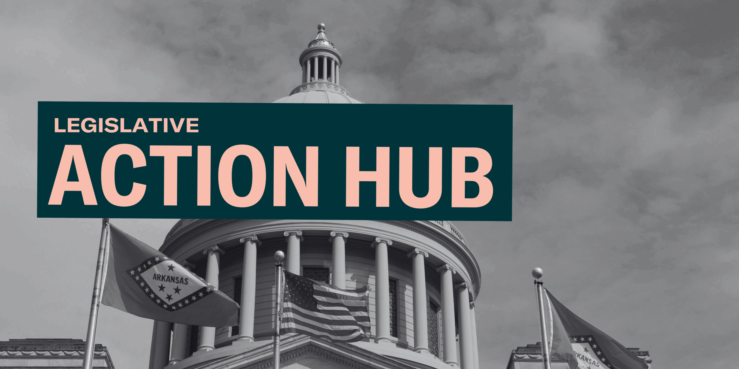 ARLEG Action Hub Banner