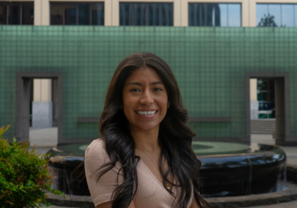 Blog Author Fernanda, a woman with long brown hair and a big smile wearing a light pink dress.