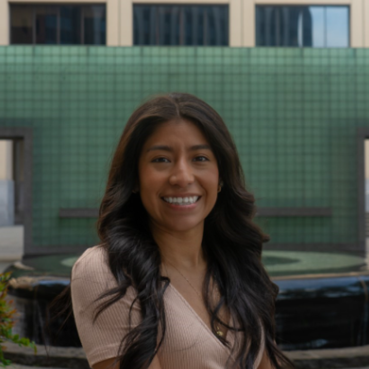Blog Author Fernanda, a woman with long brown hair and a big smile wearing a light pink dress.